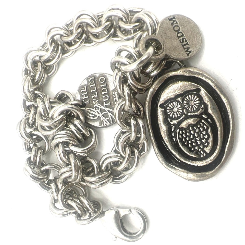 Owl Wisdom Charm Bracelet Pendant Double Link Silver‎ tone Chain Lobster Clasp